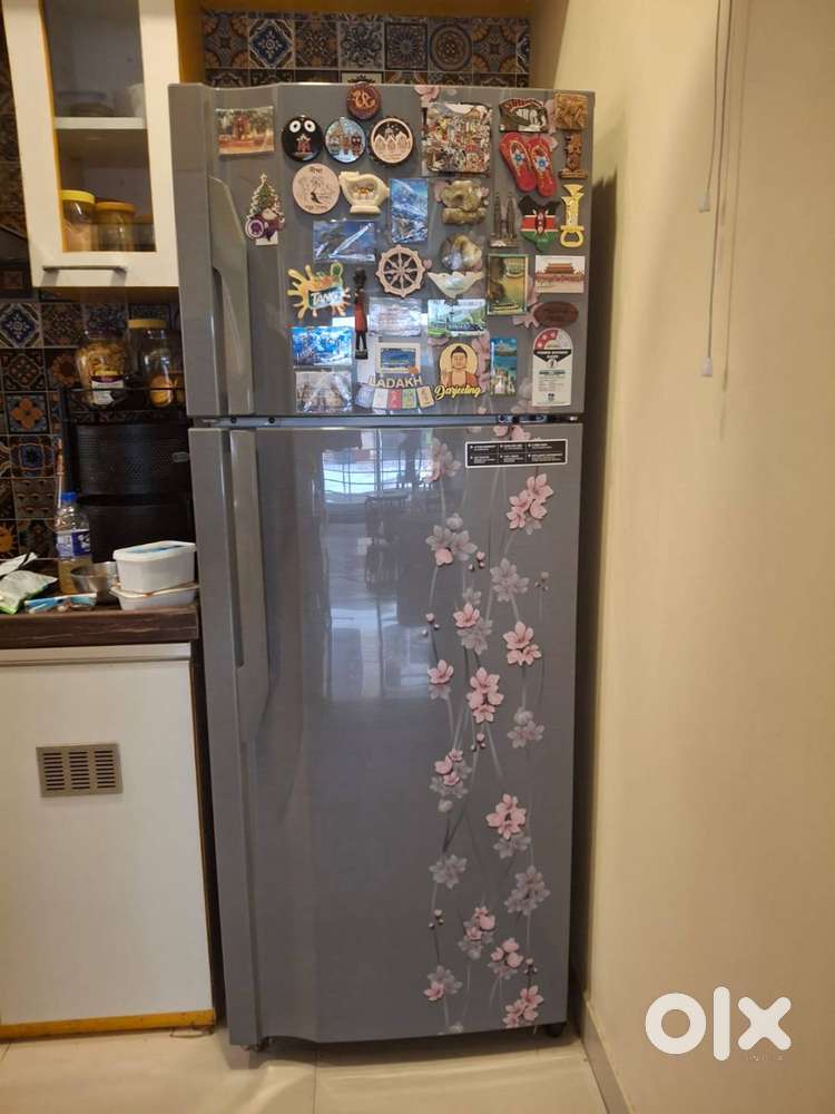 Godrej 331ltr Double Door