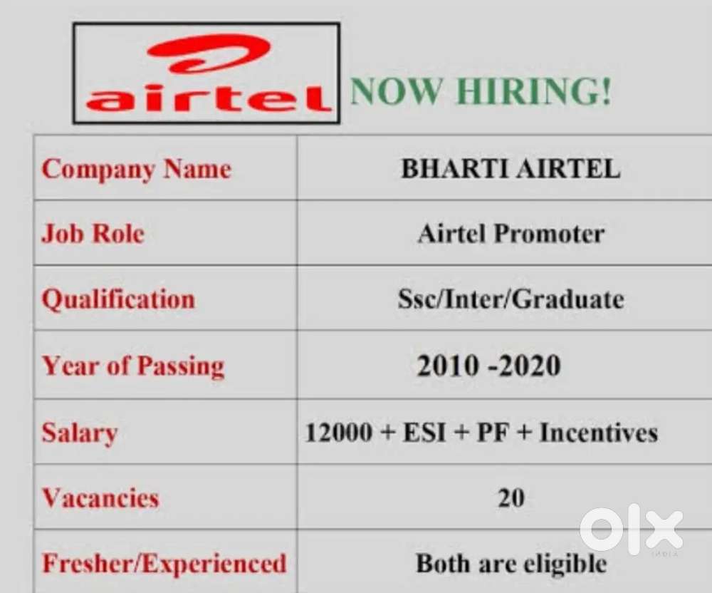 Sales executive, sales permotor at bahadurgarh,punjabi University