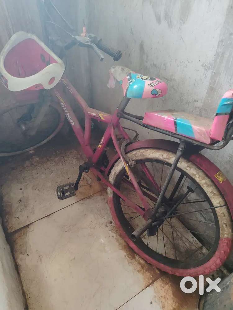 05 to 15 years old girls bicycle