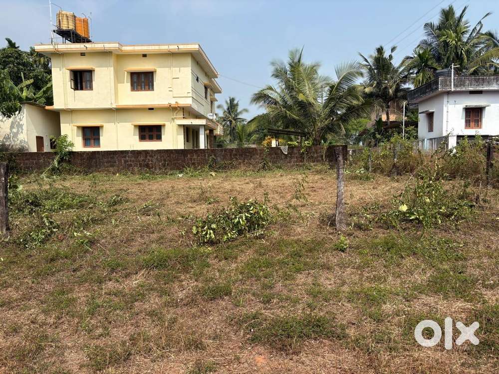 20 cents land near main highway