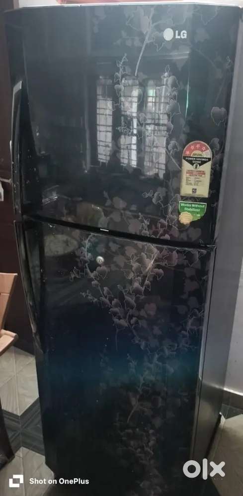 Lg double door fridge