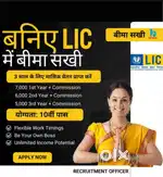 Required female Advisors for LIC