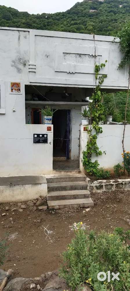 House  ground floor daba all pepers available