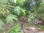 5000sq feet NH SIDE space for rent