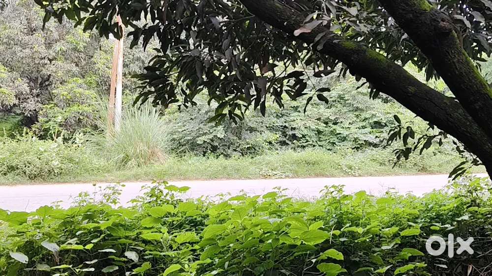 मुख्य सड़क से जुड़ा हुआ मकान बनाने के लिए उपयुक्त प्लॉट