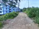 Jaka ha laitkor woodland Institute rud surok ba itynnad jaka