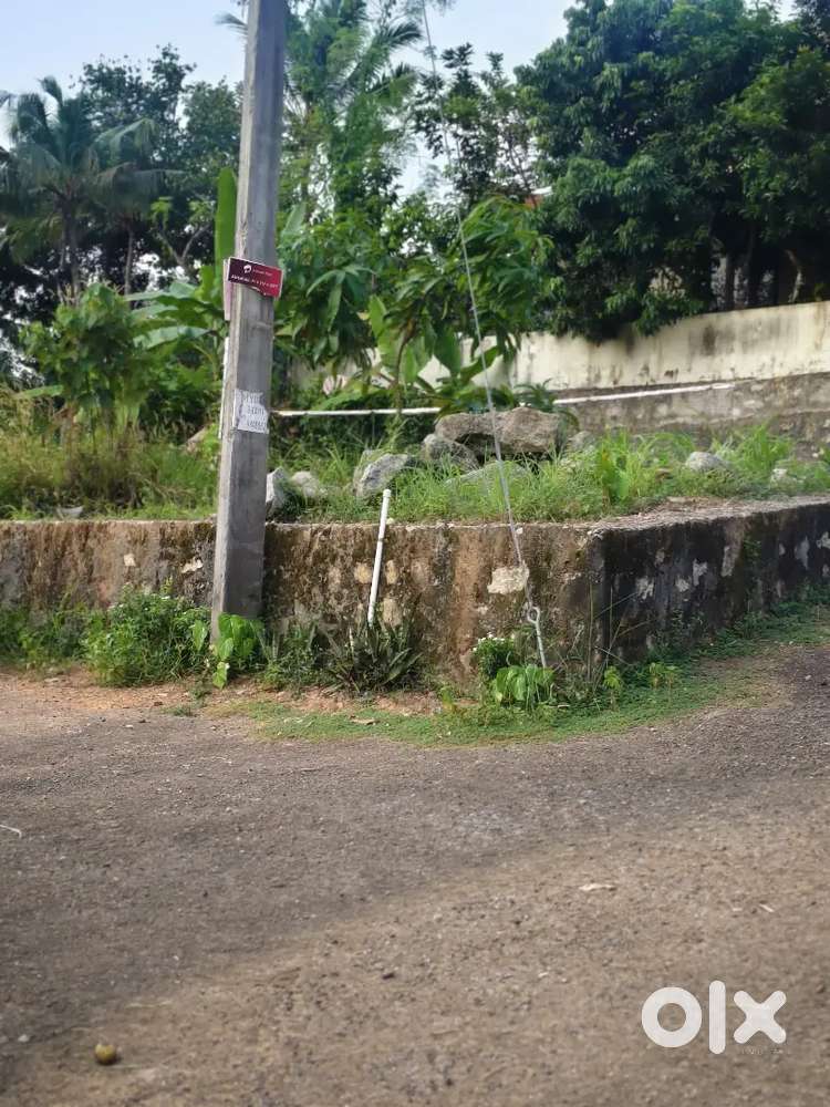 4.80cent square plot PRAKRITHI GARDENS POTHENCODE