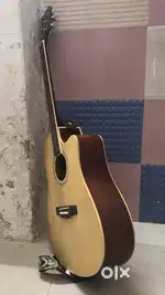 Acoustic guitar