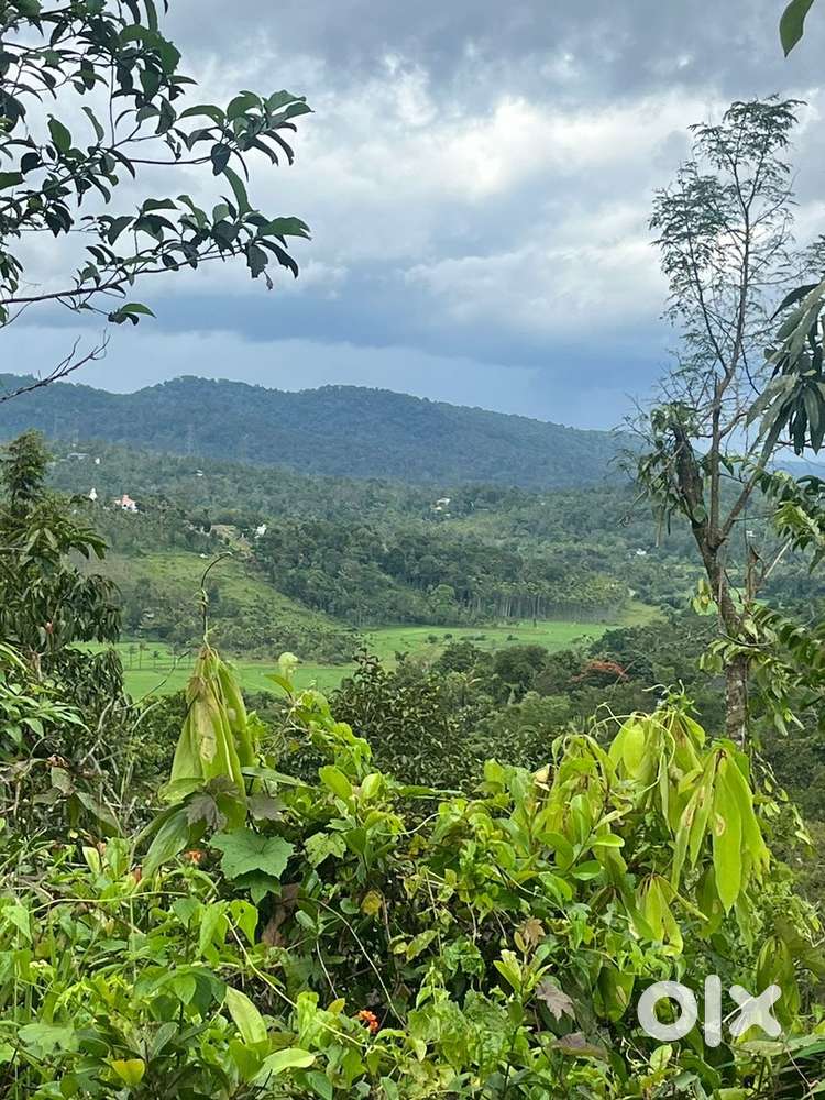 Wayanad tirunelli panjayath 1 acre view point land selling