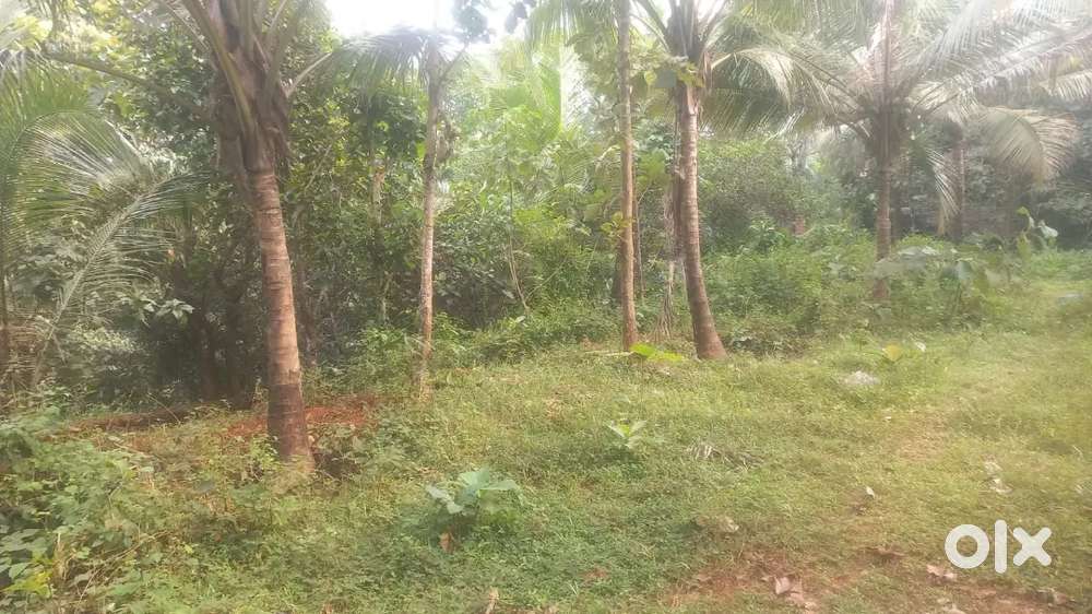 22 സെന്റ് സ്ഥലം വില്പനക്ക്