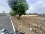 Agriculture land