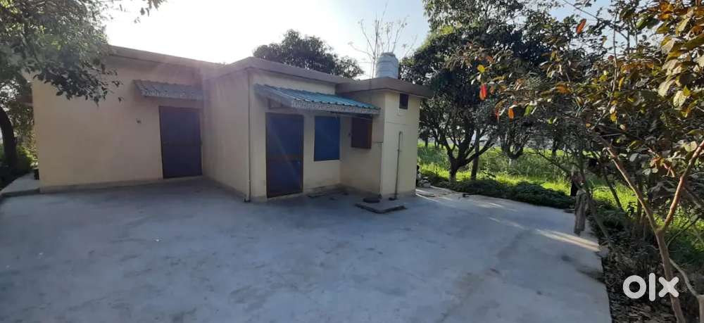 One big room for rent at laxmipur road, sahaspur