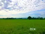 Land Near Chandrama Chowk