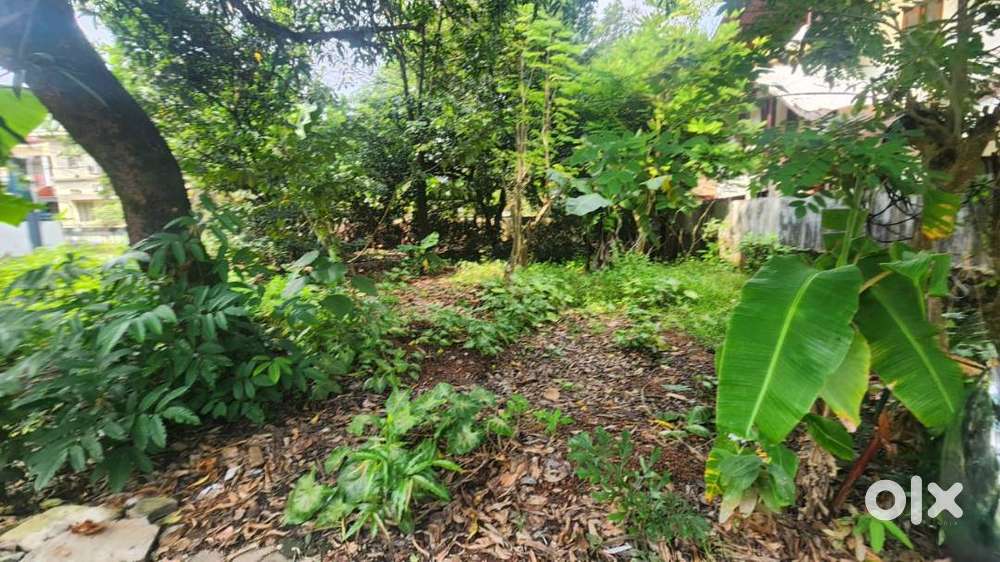 9.3 cents of residential or semi commercial plot for sale at Kaloor.