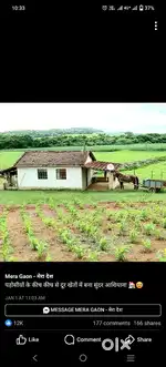 Kurabad ramaj