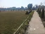 4.34 Marla Residential Plot For Sale in Dream Town, Jalandhar