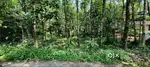 15 cent plot for sale at Lakkoor - Pathanamthitta