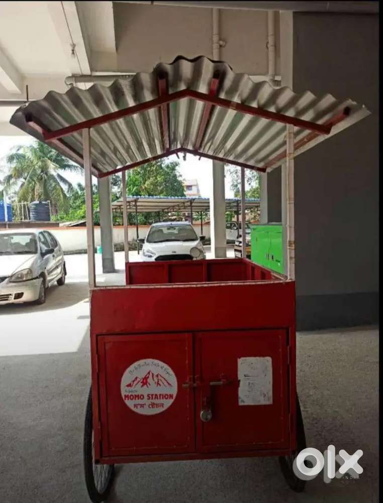 Momo Cart Food Cart