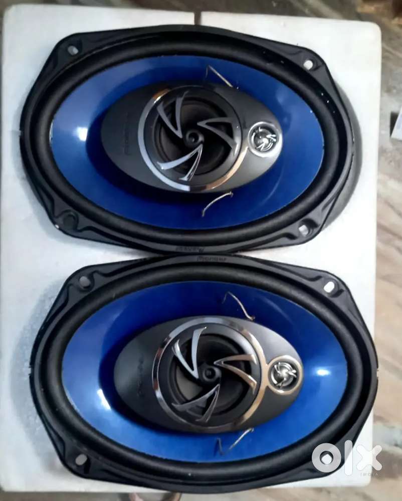 Pioneer ovel speaker