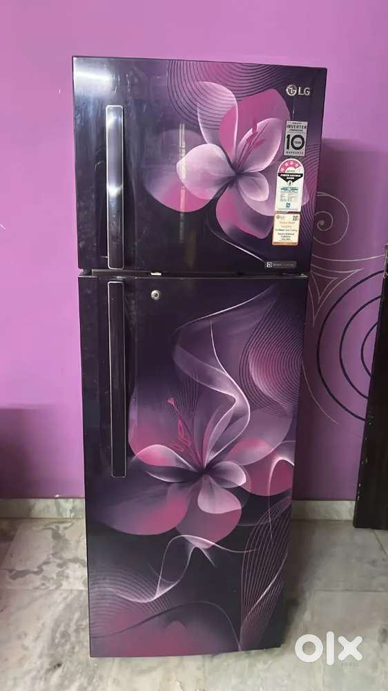 Lg double door