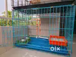 Cat Cage for Sale . Newly Bought [ only 1 month] Excellent condition