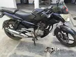 Pulsar 135