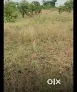Plot sale near collector office