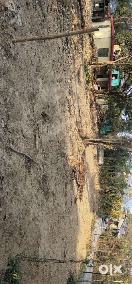 1 kanal plot to be sale immediate