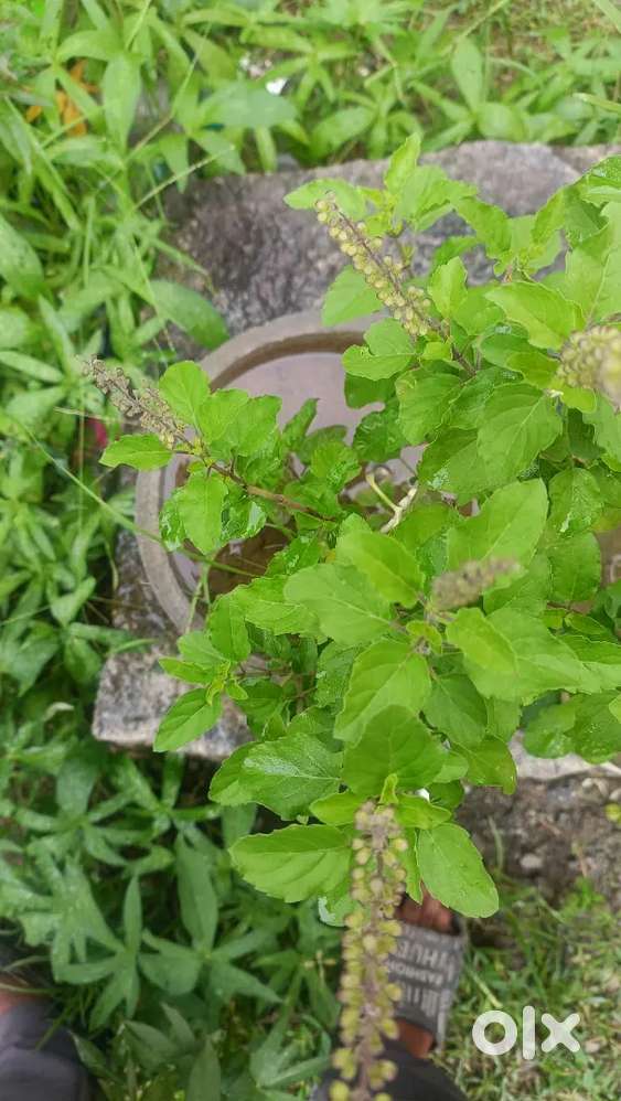 Patta Land for sale near porur