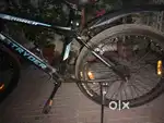 stryder rower cycle