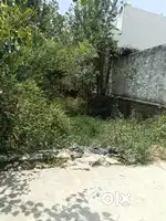 102 gaj plot only 100 metr ashirwad vatika main najafgarh dhansa road
