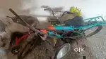 Alpha cycle