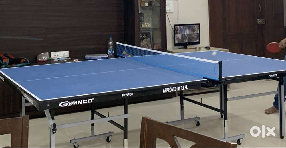 Table Tennis Table