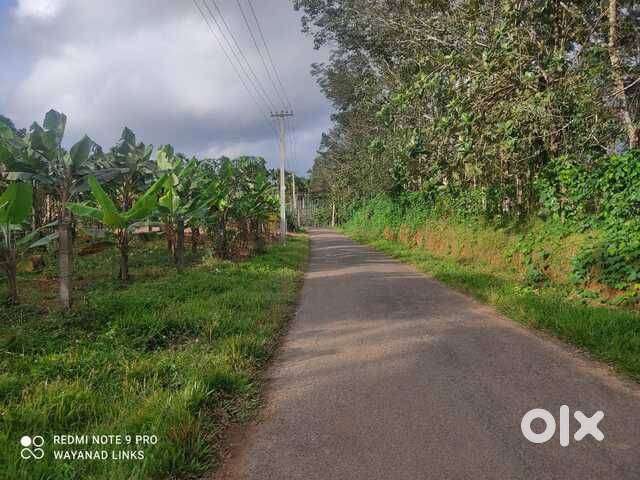 Affordable 10 Cent Plot Karani Wayanad