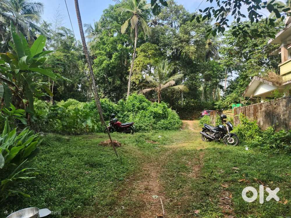 10 cent land for sale