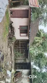 5cent with house 1 cent per 500000