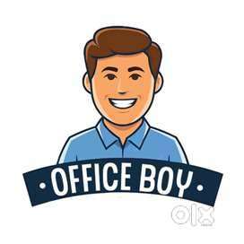 Office boy Male only