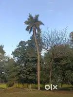 want to sale 1 katha myadi land,not for brokers