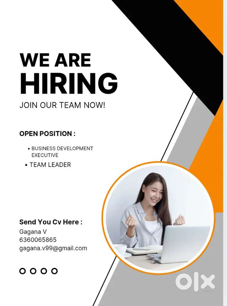 Business Development Executive