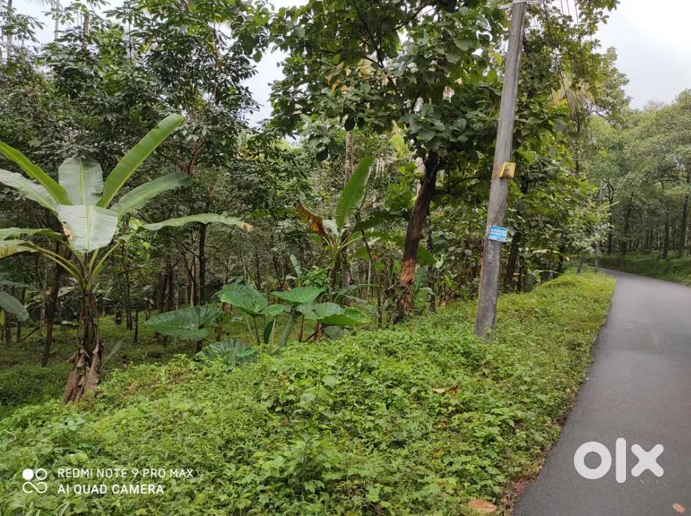 2 Acer Road touch Property at Kothamangalam , Malippara