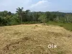 20 CENT HOUSE PLOT FOR SALE IN MANANTHAVADY