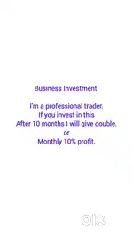 Business Investment