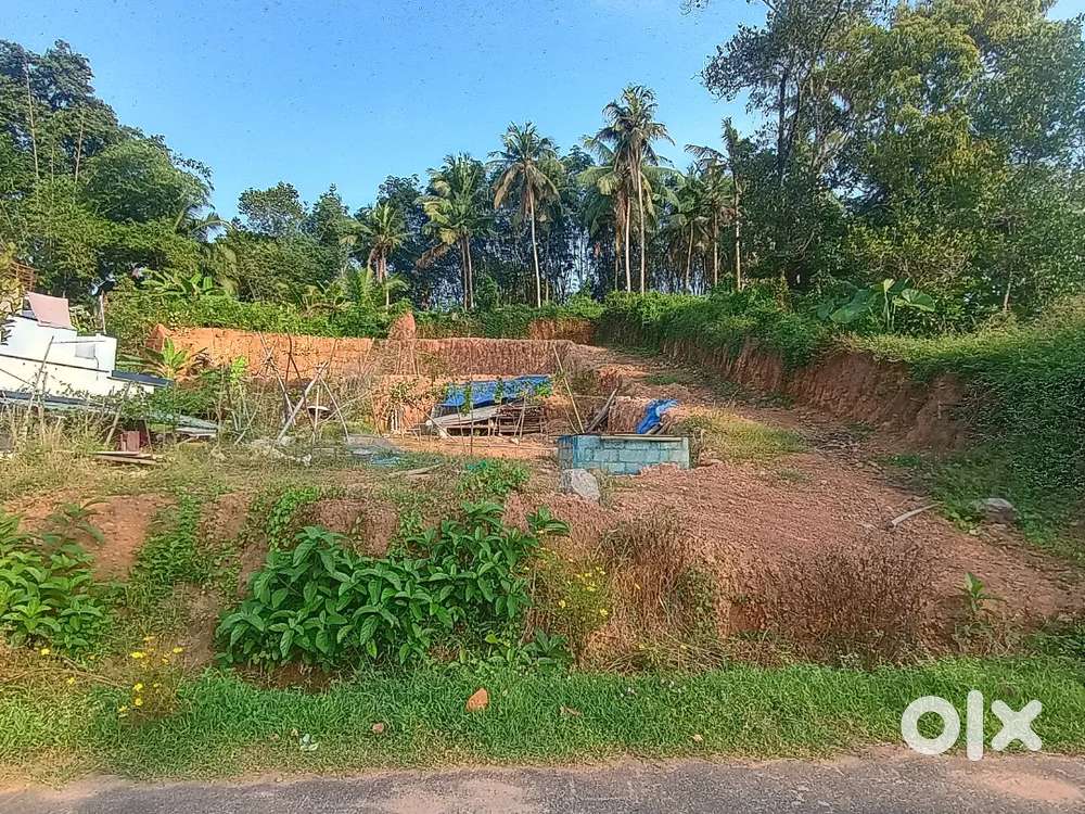 Plot for sale near Vattappara