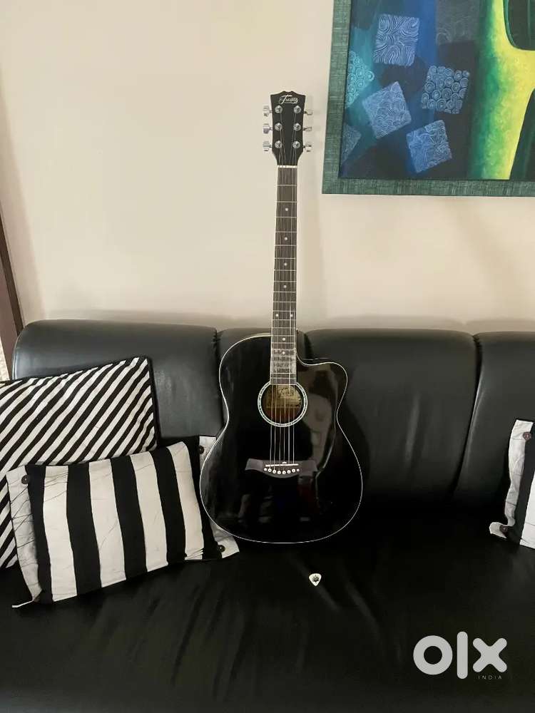 Guitar for beginner