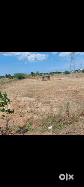 PADAPPAI,  GEO NAGAR