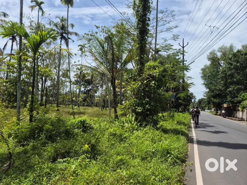 1.15 acer  Land for Sale Near Varapuzha Kongorpilly Bus route Frontage