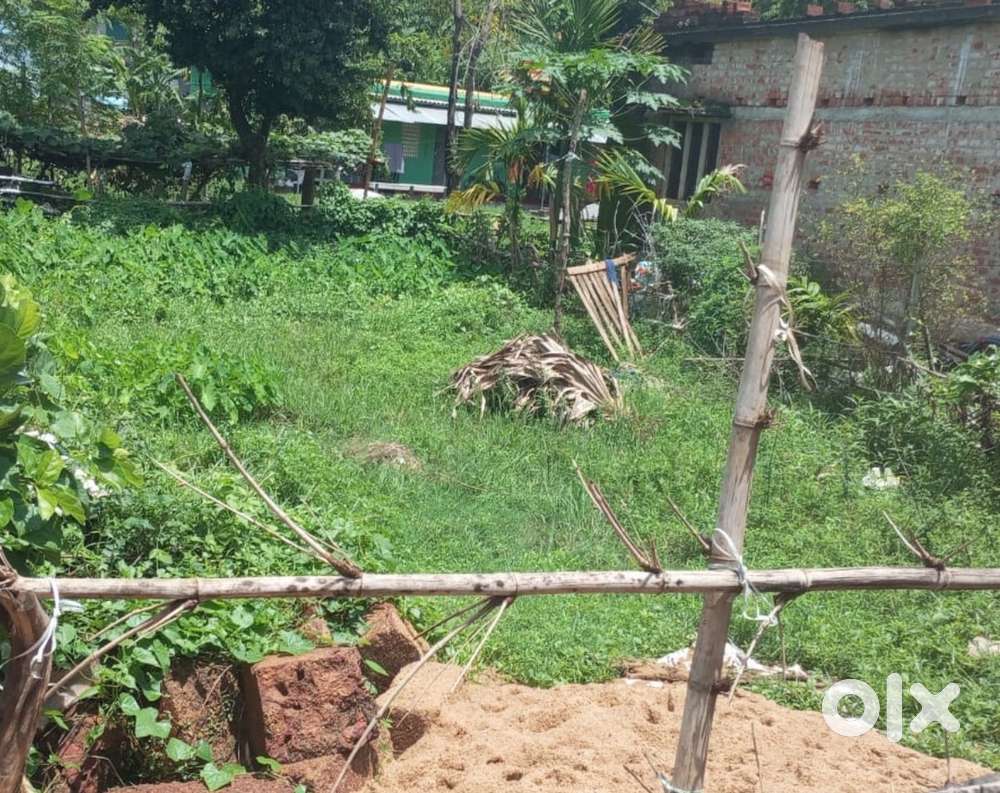 Commercial plot, Close to Nuapatana school. 500mtr from SUM hospital