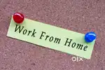 Work from home code writing job