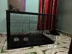 Birds cage 3 feet heavy