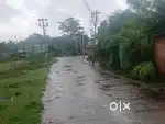 Peaceful Area